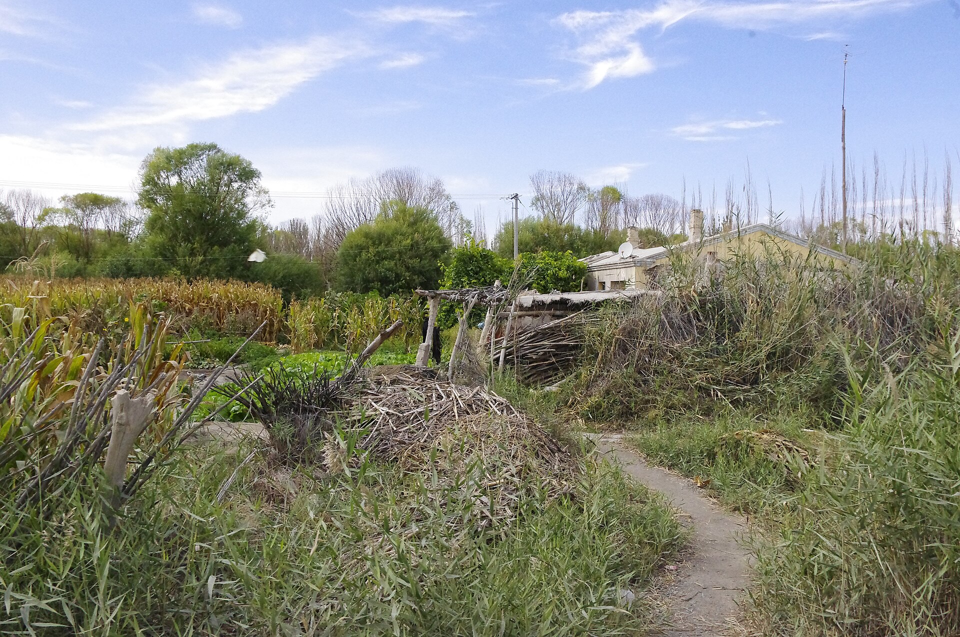 Xinjiang landscape IGP4158