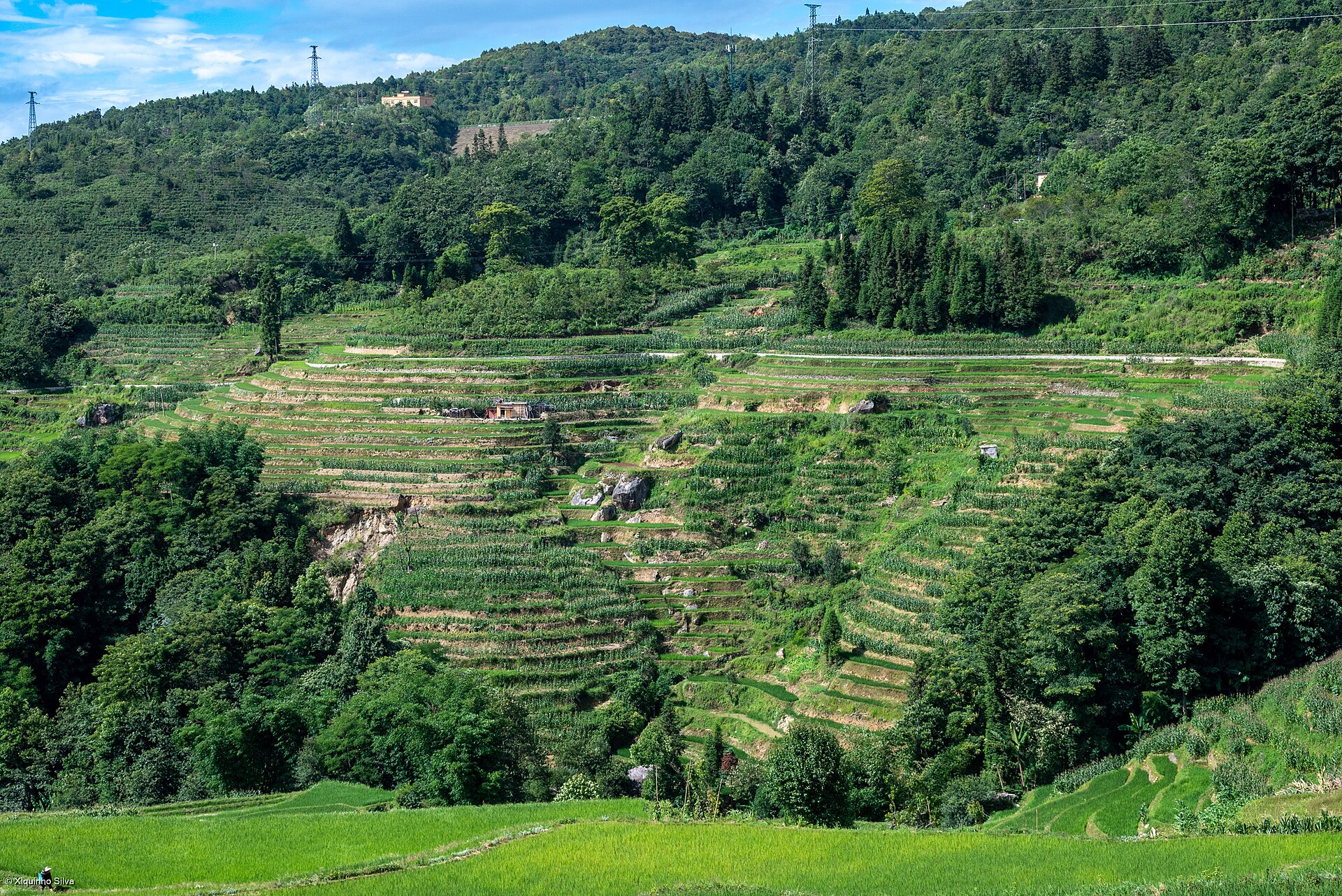 Hani Rice Terraces