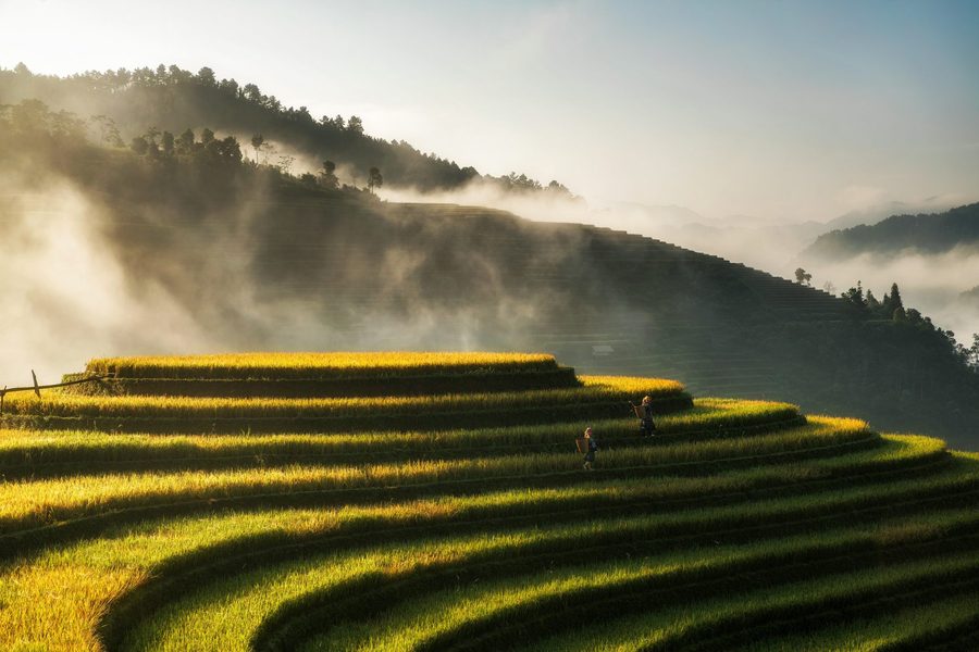 Yunnan rice terraces at sunrise
