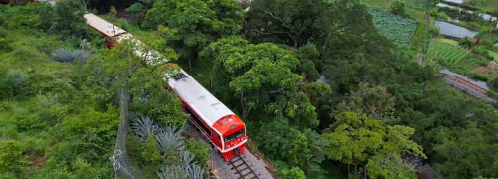 Diannan Impression - the metre-gauge train threads through the Xishuangbanna rainforest